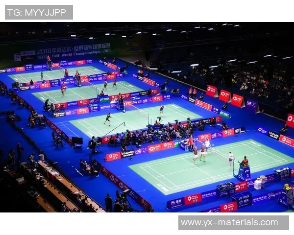 赛后分析南京羽毛球队与北京羽毛球队的战术意识与表现对比